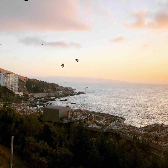 Hermoso Y Tranquilo Departamento Frente Al Mar. Apartamento Concón